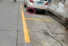 停车场最新爆料,智慧停车时代来临，便捷出行新体验